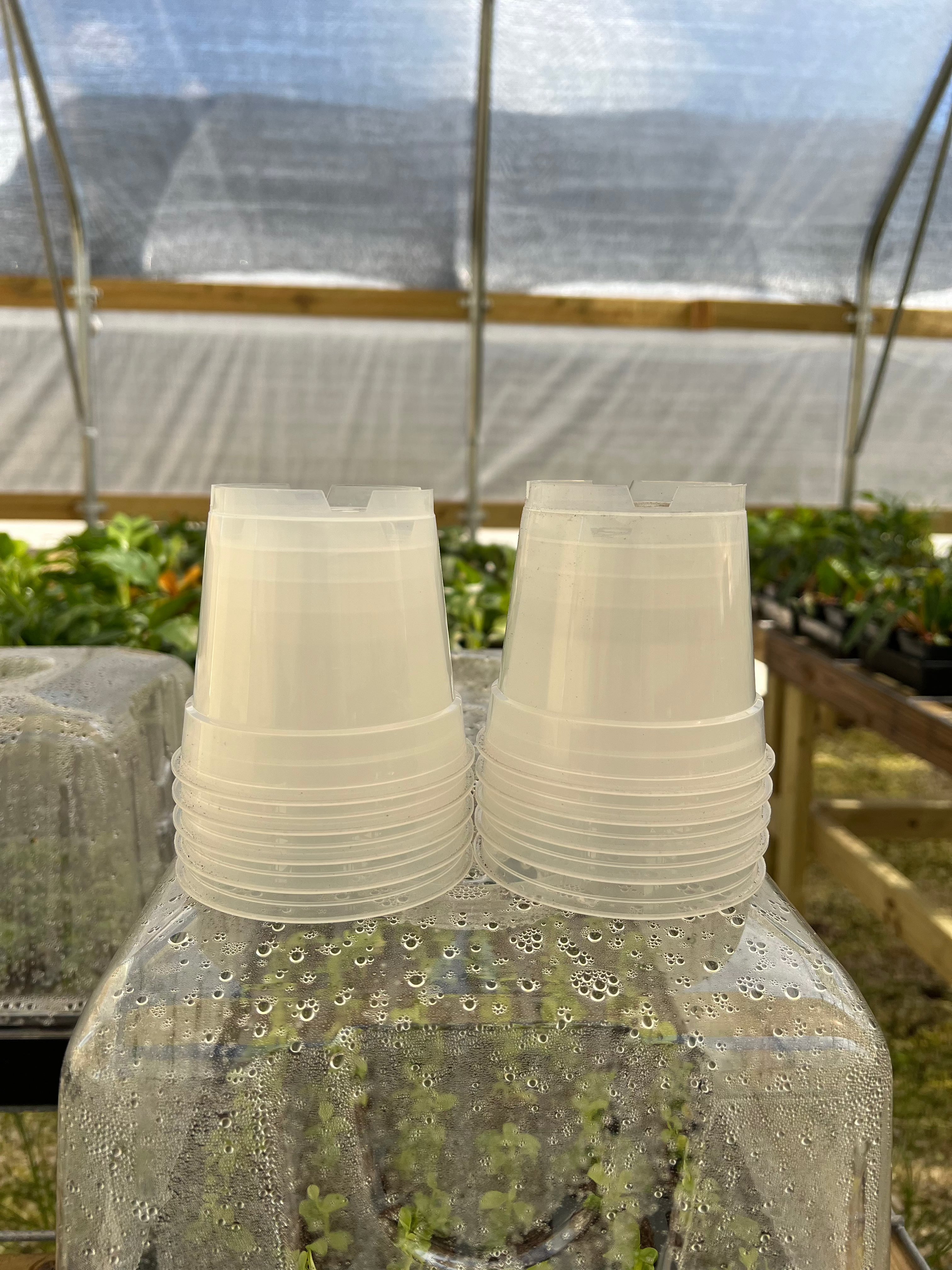 4 Inch Clear Nursery Pots 10 pots Orange Lake Nursery