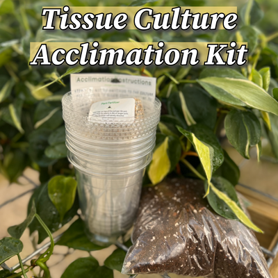 Tissue Culture/Plantlet Acclimation Kit
