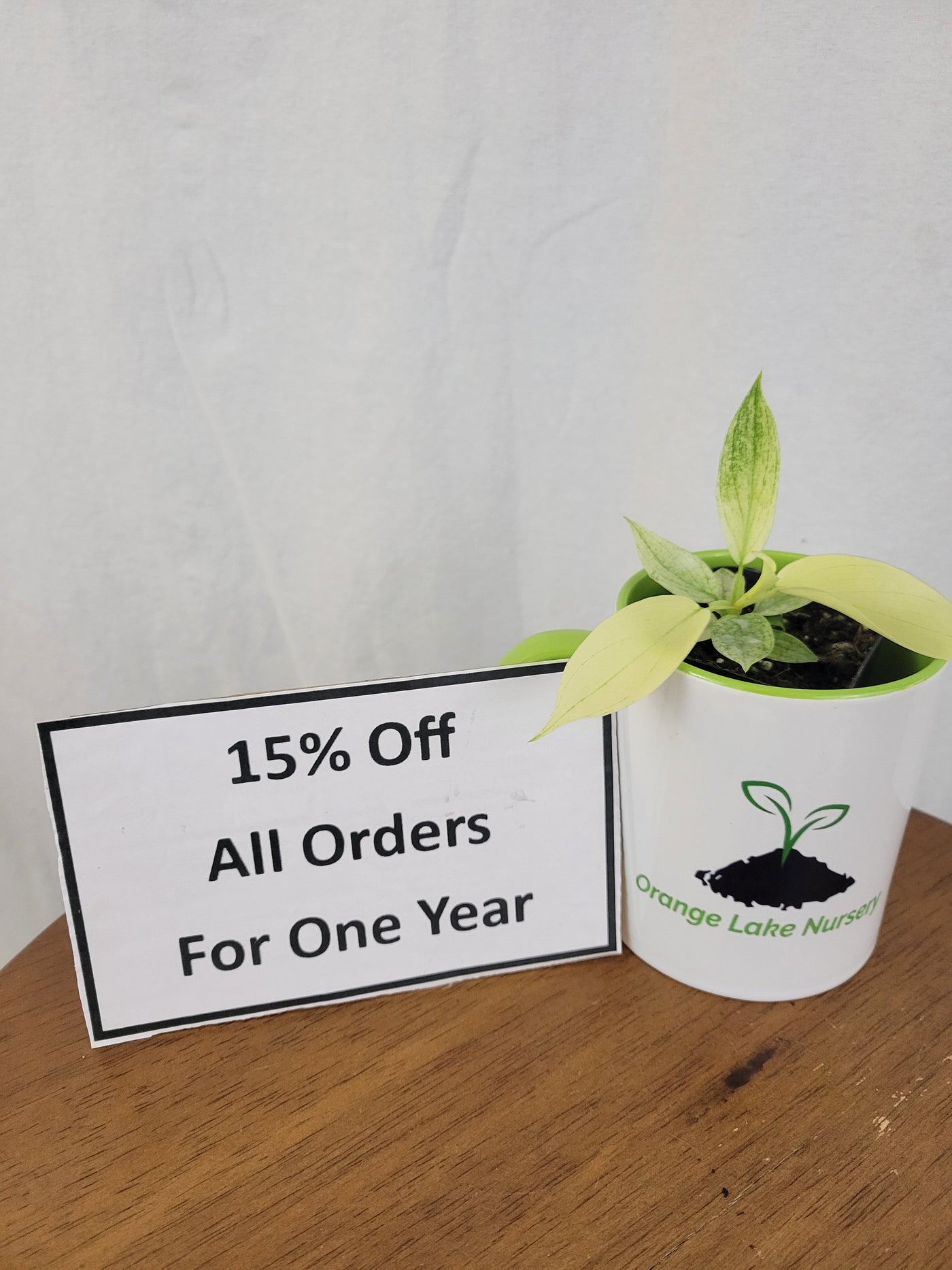 15% Off All Orders For 1 Year