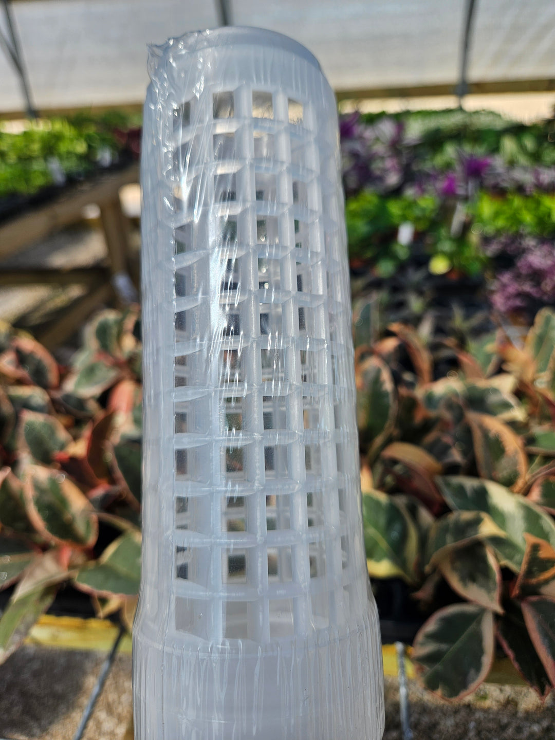 Clear fillable grow pole, 17 inches tall, for plant support and nutrient delivery.