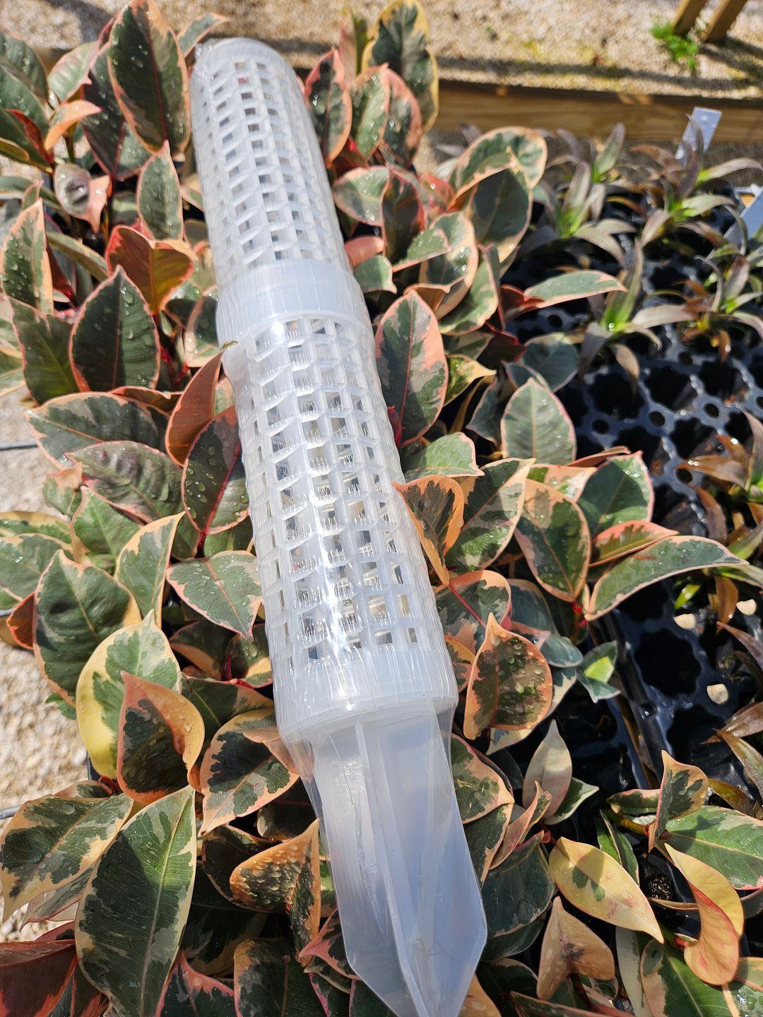 Fillable grow pole- 17 inches tall, clear design, reusable, fillable for plant support and growth.