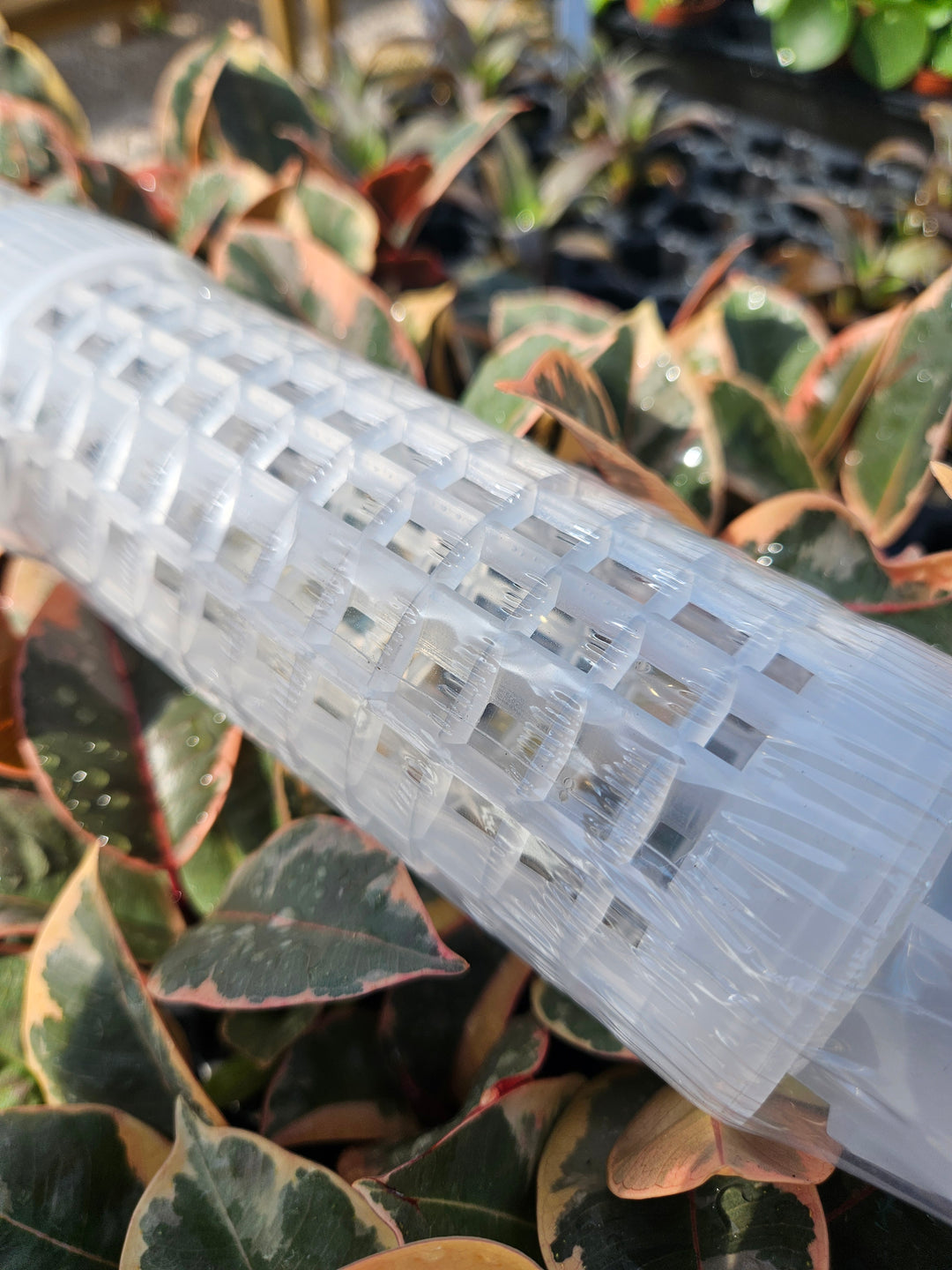 Fillable 17-inch grow pole with clear design and stackable feature among plants.