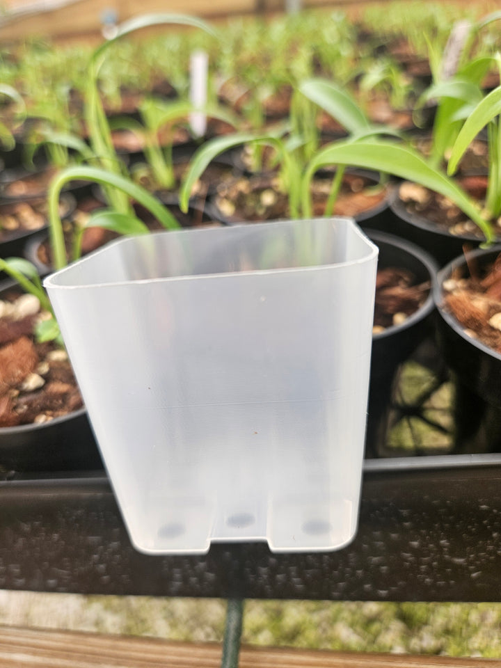 2 Inch Square Clear Pots- 10 pots