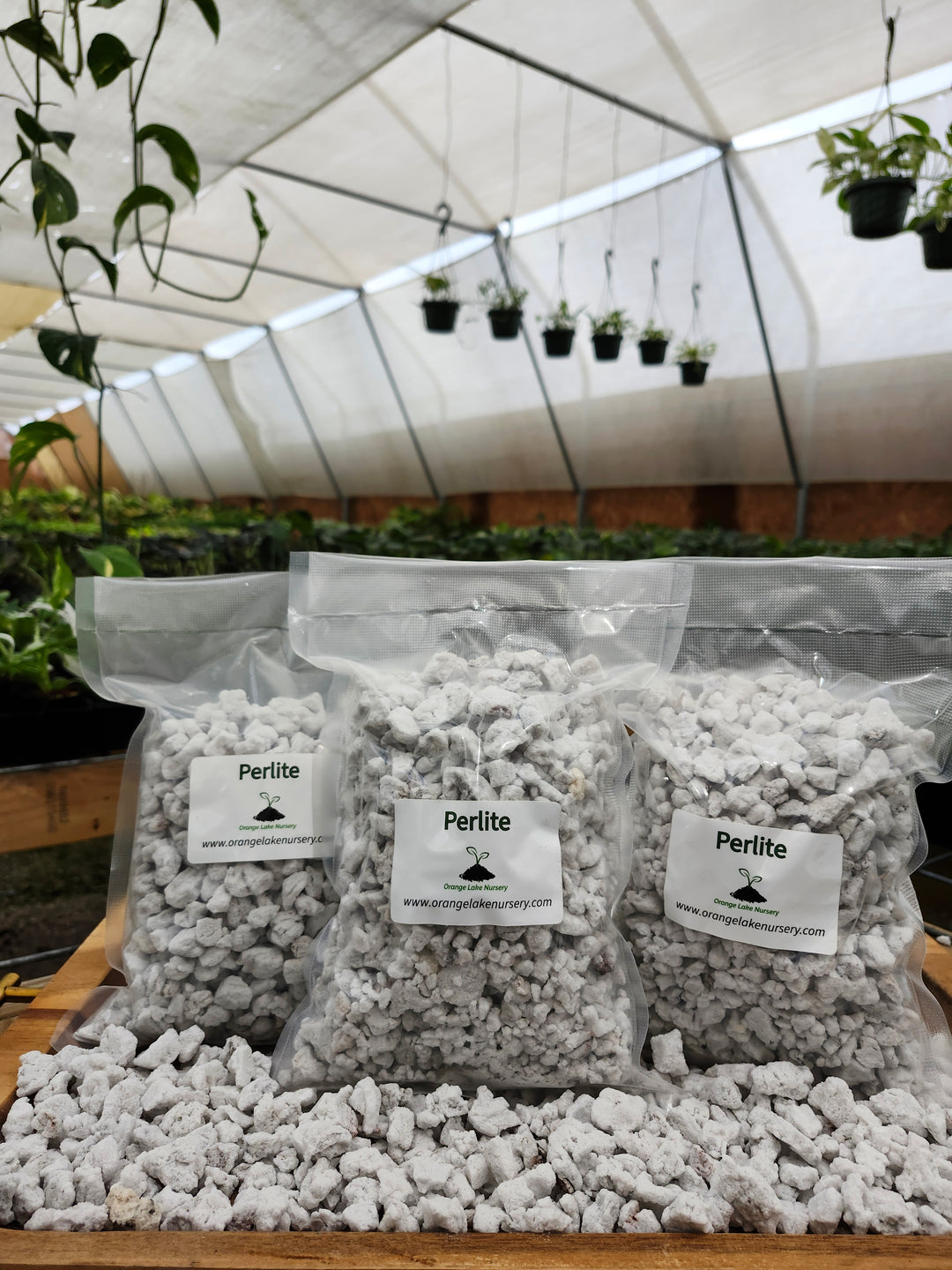 Coarse Perlite #4