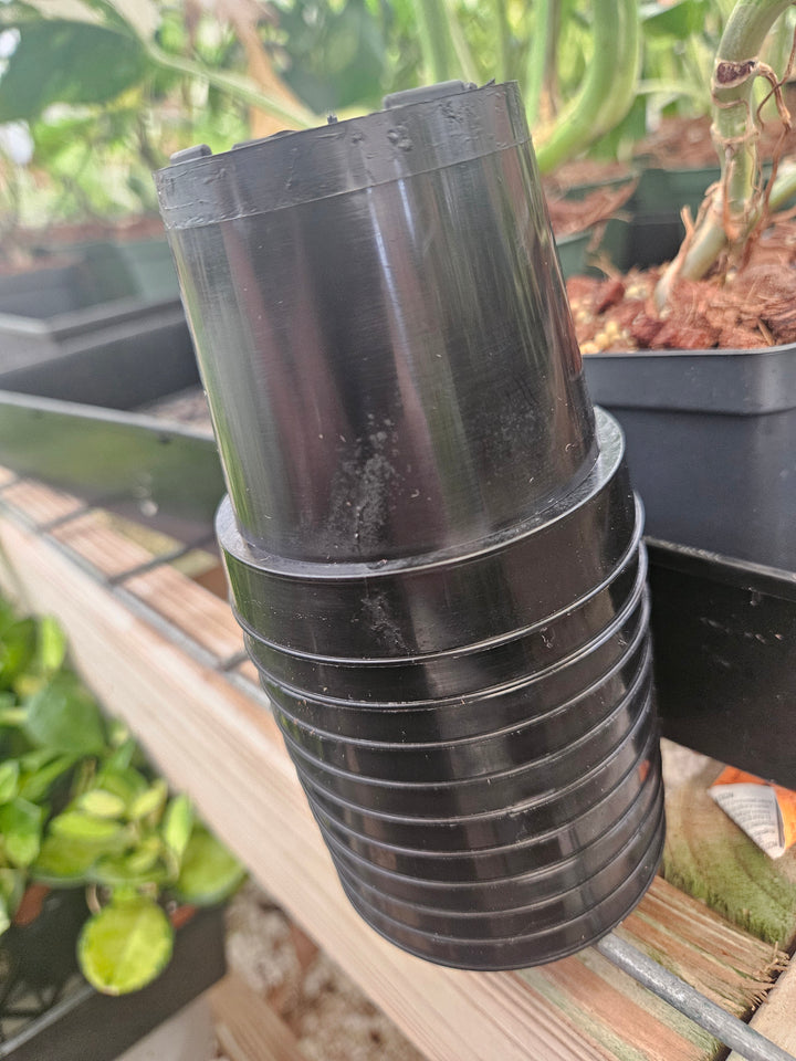 3 Inch Nursery Pots- 10 pots
