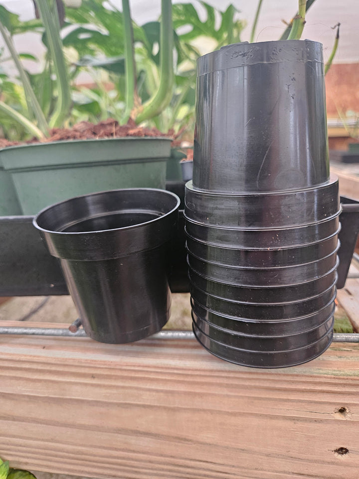 3 Inch Nursery Pots- 10 pots