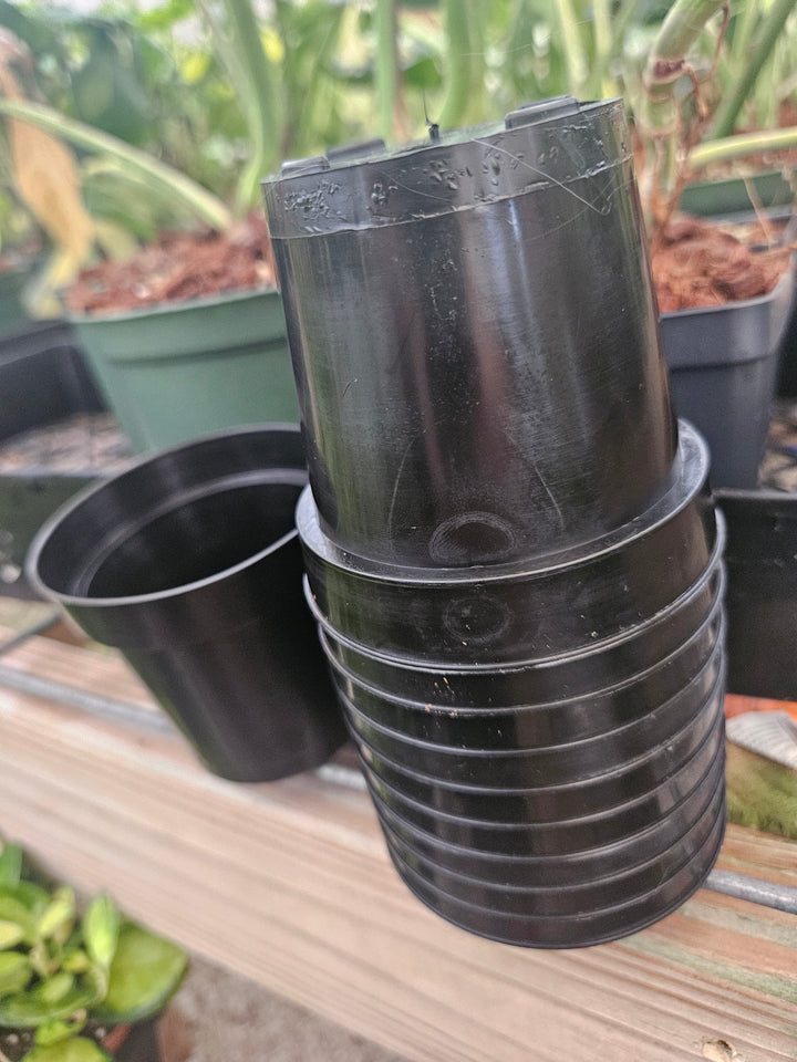 3 Inch Nursery Pots- 10 pots