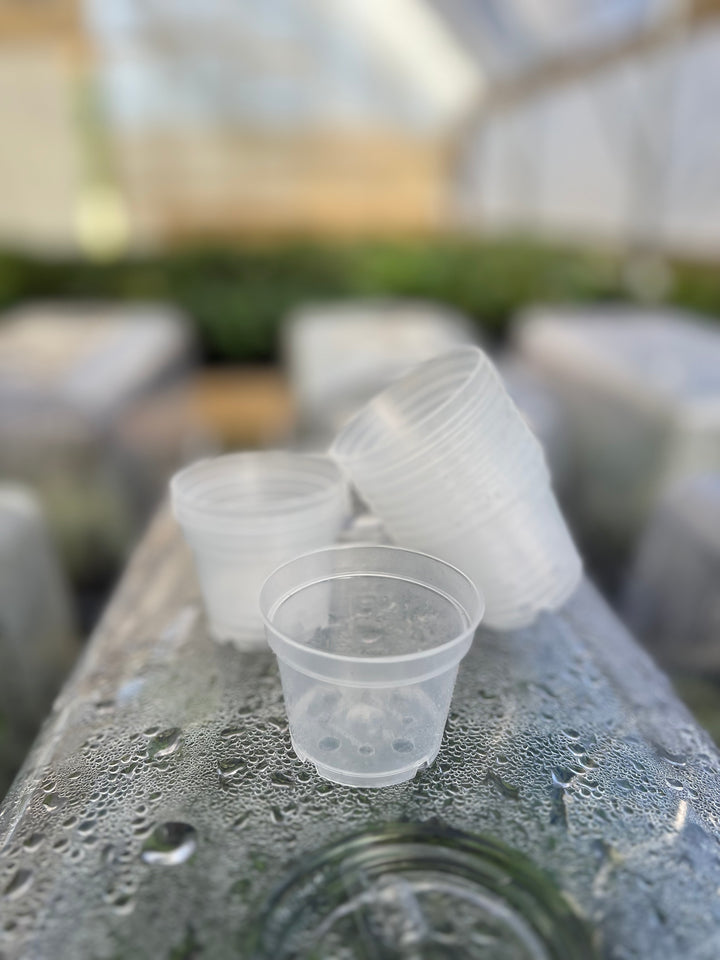 2 inch clear nursery pots, set of 10, reusable and ideal for plant root visibility.