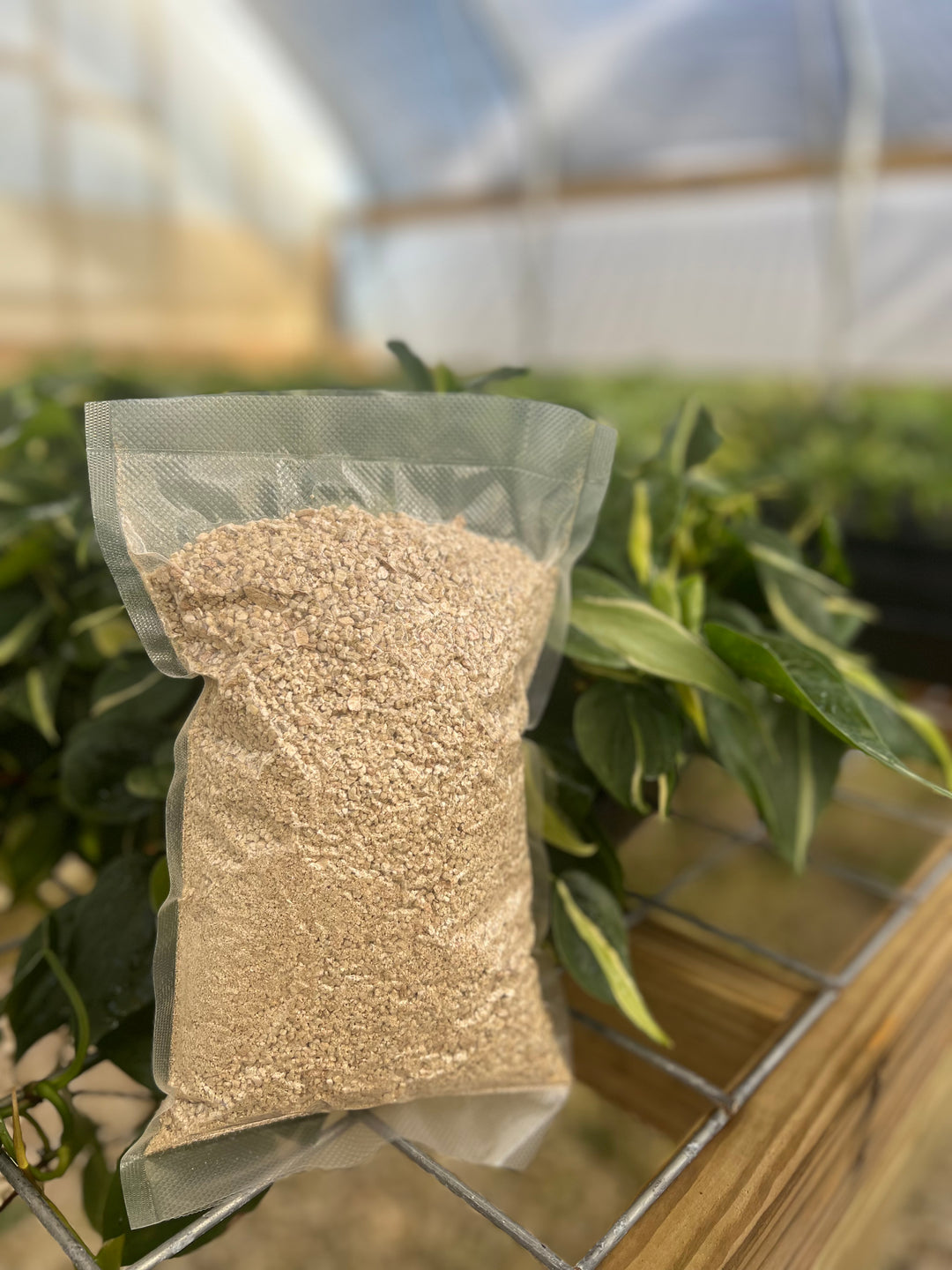 Vermiculite soil alternative in a large bag near green plants in a greenhouse setting.