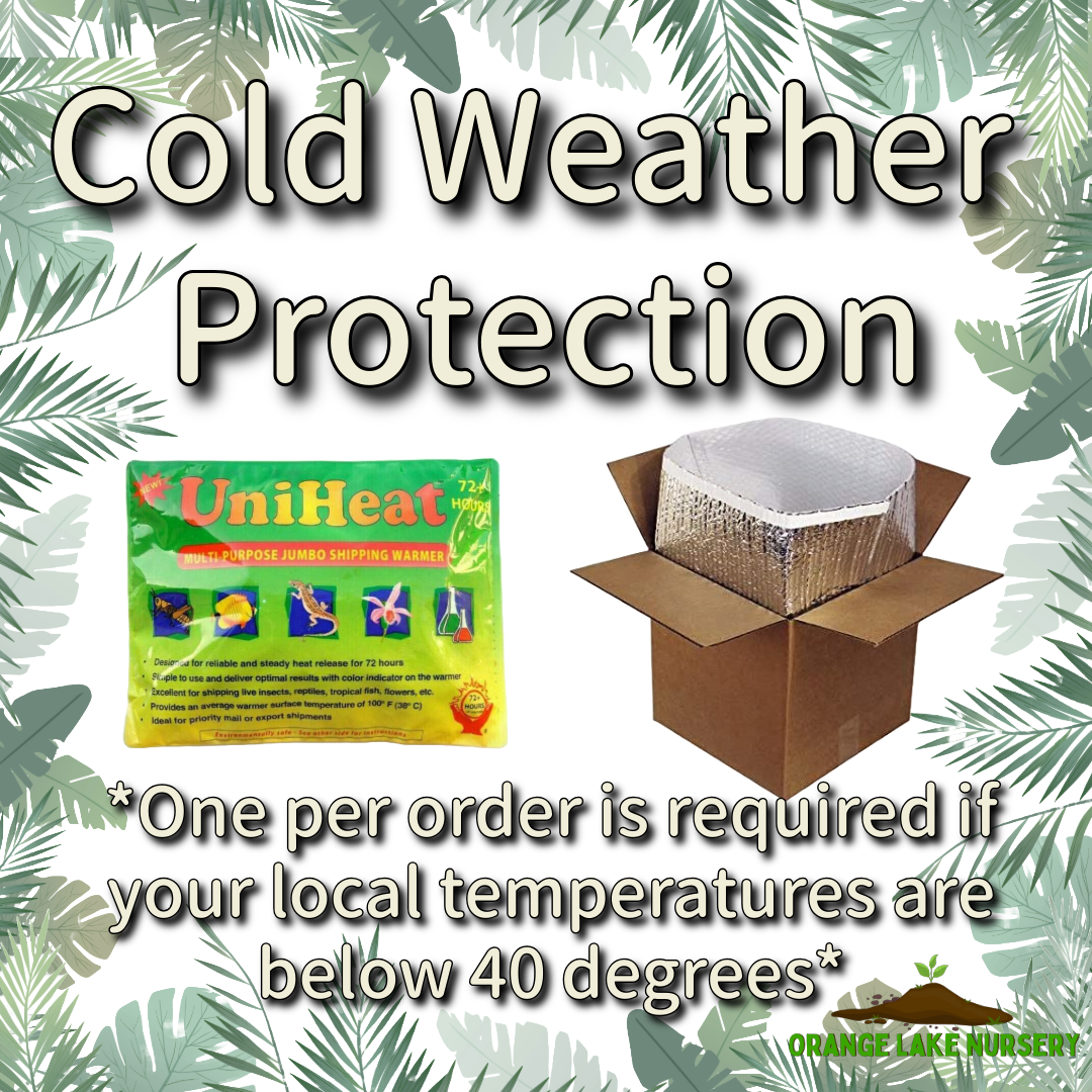 Cold Weather Protection (For 40 Degrees or below!)