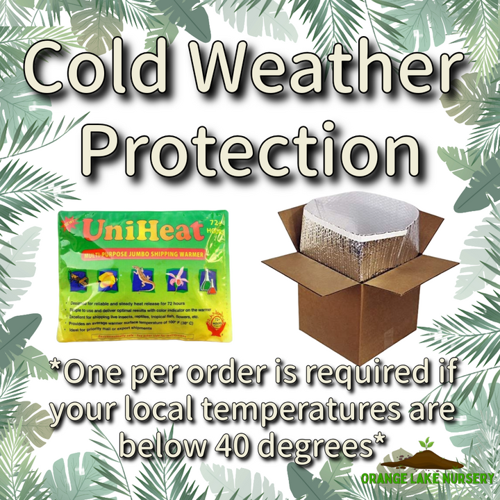 Cold Weather Protection (For 40 Degrees or below!)