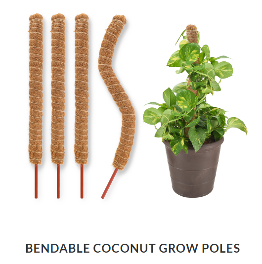 Bendable Coconut Husk Grow Poles-18in for climbing plants.