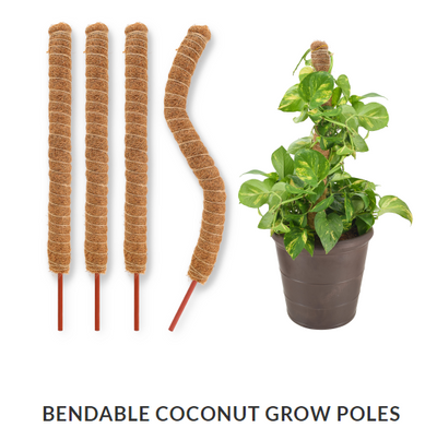 Bendable Coconut Husk Grow Poles-18in